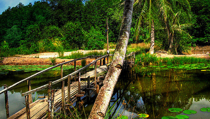 Pulau Ubin, Singapur – návrat k přírodě